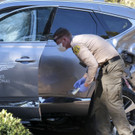 Tiger_Woods_Vehicle_Crash_Golf_87553.jpg