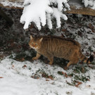 Schnitzeljagd Wildpark _14_.JPG