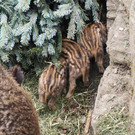 Schnitzeljagd Wildpark _7_.JPG