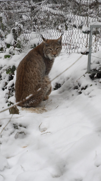 Schnitzeljagd Wildpark _12_.JPG