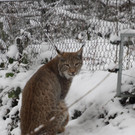 Schnitzeljagd Wildpark _12_.JPG