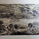 DSC09030 _2_.JPG