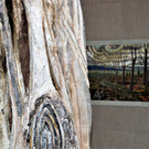 DSC09038 _2_.JPG