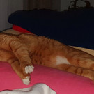 20201106_225952.jpg
