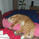20201121_221655.jpg