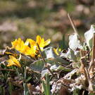 DSC03511.JPG