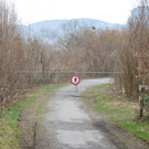 Rekultivierung Aushubdeponie Altach 