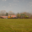 DSCI5546.JPG