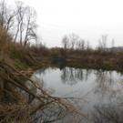 DSCI5549.JPG