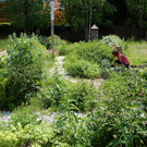 Mai 28 009.JPG