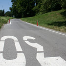 Poller-30er-Maria_Gr__n.JPG