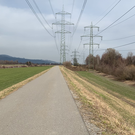 Bilder von der Interventionspiste am Rheindamm in Mäder