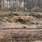 vlcsnap-2021-03-05-14h18m55s40.png