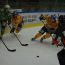 DSC08379.JPG