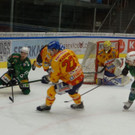 DSC08381.JPG
