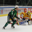 DSC08383.JPG