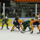 DSC08387.JPG