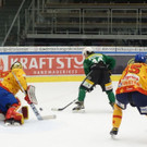 DSC08395.JPG