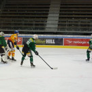 DSC08396.JPG