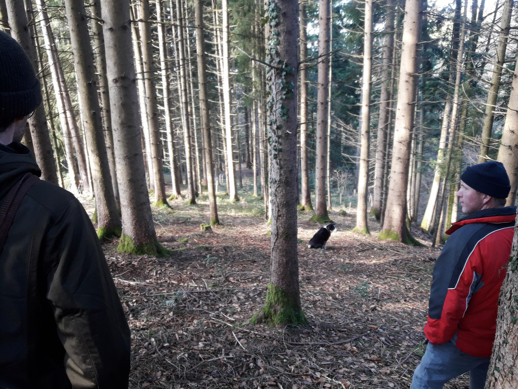 Waldbegehung 3.jpg