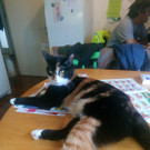 IMG_20201229_101138.jpg