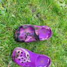 image00011.jpeg