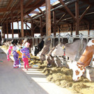 Naturkindi7.JPG