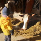 Naturkindi6.jpg