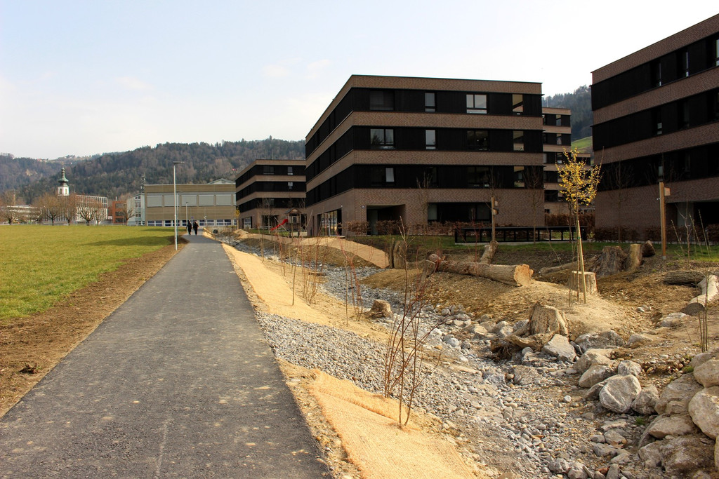 Oberlochauerbach Hochwasserschutz BF F Weg und Bachbett FINISH 02-03-2020 _8_.JPG