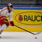 file7ewwgxqx6v46e2x6fei - Kopie.jpg