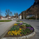 z_0003283.jpg