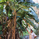 IMG-20210301-WA0010.jpg