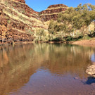 IMG-20210301-WA0008.jpg