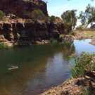 IMG-20210301-WA0001.jpg
