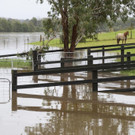 Australia_Floods_19753.jpg