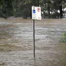 AFP_96F6XZ.jpg