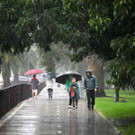 AFP_96F6VT.jpg