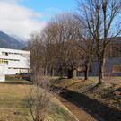 MS Satteins _3_.JPG