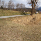 IMG_2991 _2_.JPG