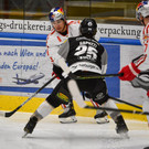 file7eww5yujl2ho4648fc3 - Kopie.jpg