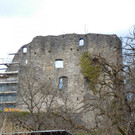 Sanierung Burgruine Jadgberg 