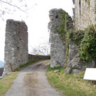 DSCI5595.JPG