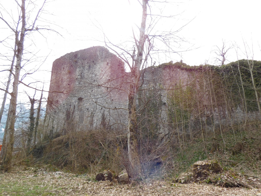 DSCI5602.JPG