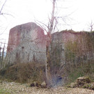 DSCI5602.JPG