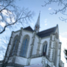 Unternehmen der HLW-Schüler wirtschafteten für den guten Zweck
