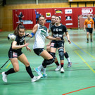 Gerbis_1.jpg