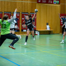 Gerbis2.jpg
