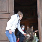 DSC_2231.JPG