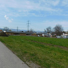DSCI5623.JPG