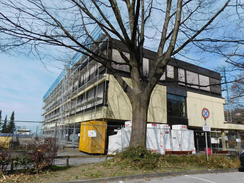 DSCI5616.JPG
